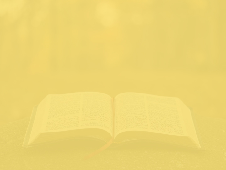 yellow-bible